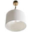 Russo 1 - Light Brass Novelty Pendant