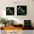 Brampt Golden Capped Parakeets-109378116