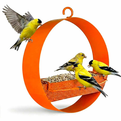 Dareen Hanging Tray Bird Feeder