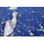 Tapis Brea-704377297