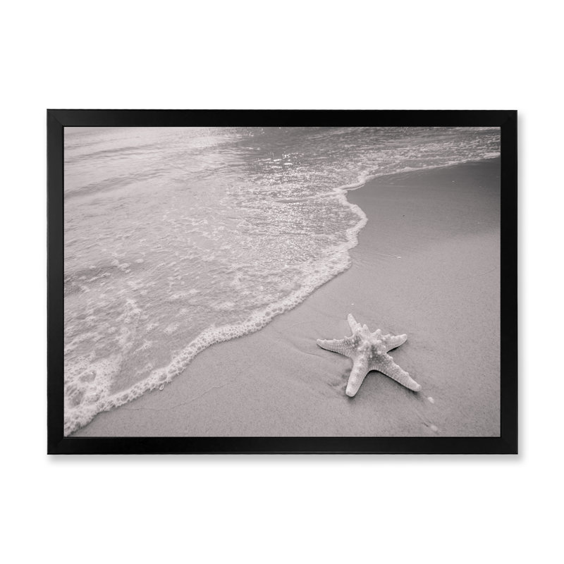 Étoile de mer noire et blanche sur la plage - reproduction sur toile, H 24 po x l 36 po x P 1 po, Cadre d'angle fermé noir