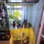 Customer photo 3 of 4