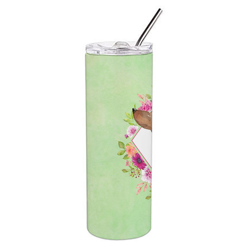 E23BF9F8391D466E9CA4F8DFEBD9A7DB de verre 20 oz à double paroi en acier inoxydable chiot, Teckel brun, Vert