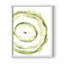 Reproduction encadrée Lichen Halo III - bois massif-962841056-962841059