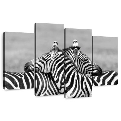 Loving Zebras