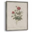 Impression florale vintage encadrée CLX III - bois massif-1382270628