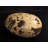 Small Theropod Dinosaur Egg Life Size Statue