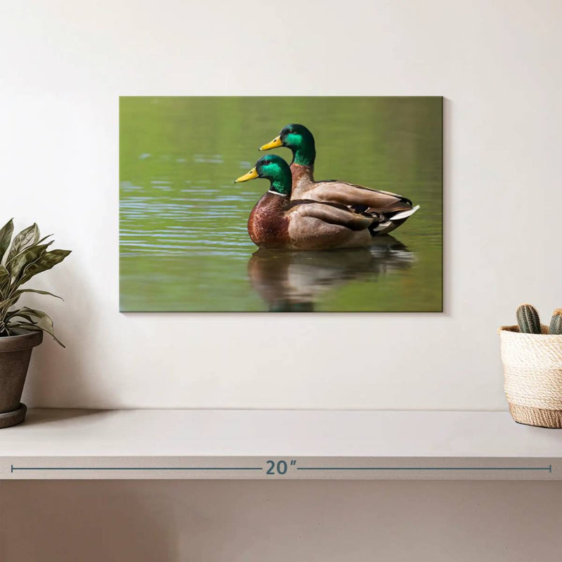 Couple de canards colverts Brampt, H 8 po x l 12 po