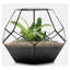 Terrarium cuivré de Norvège-37706605-37706609