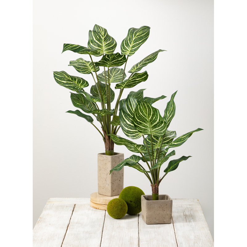 Pot de fleurs Mason, H 4,5 po x l 5,25 po x P 5,25 po