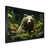 Black Picture Framed