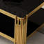 Élégante table basse en verre trempé avec structure en acier inoxydable noir et doré et double couche durable facile à nettoyer-1278049232