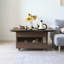 Table basse à plateau relevable moderne avec compartiment caché et tiroir