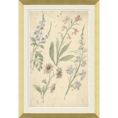 Watercolor Flower Studies Giclee Print by Soicher Marin Archives