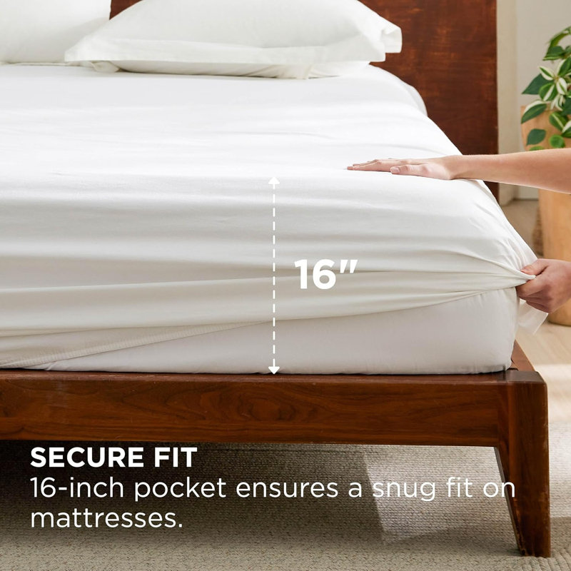 Drap-housse en coton, Drap-housse de taille double, Blanc pur