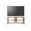 Irinna TV Stand-22494070-123406961