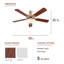 Ventilateur de plafond d'intérieur 52 po, chaînette et télécommande, moteur CA réversible, pales réversibles