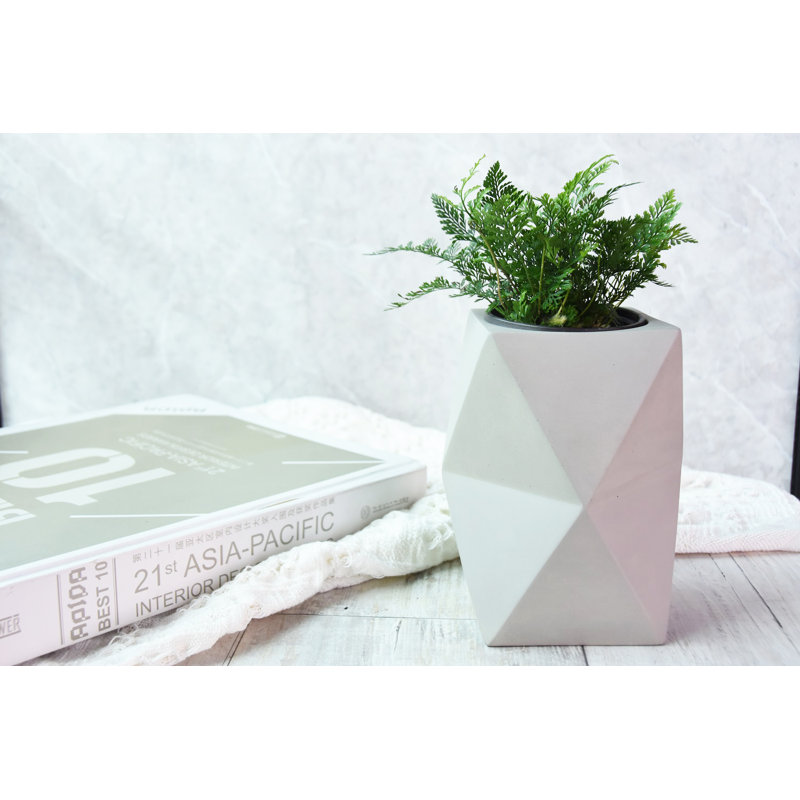 Leopold Pot Planter