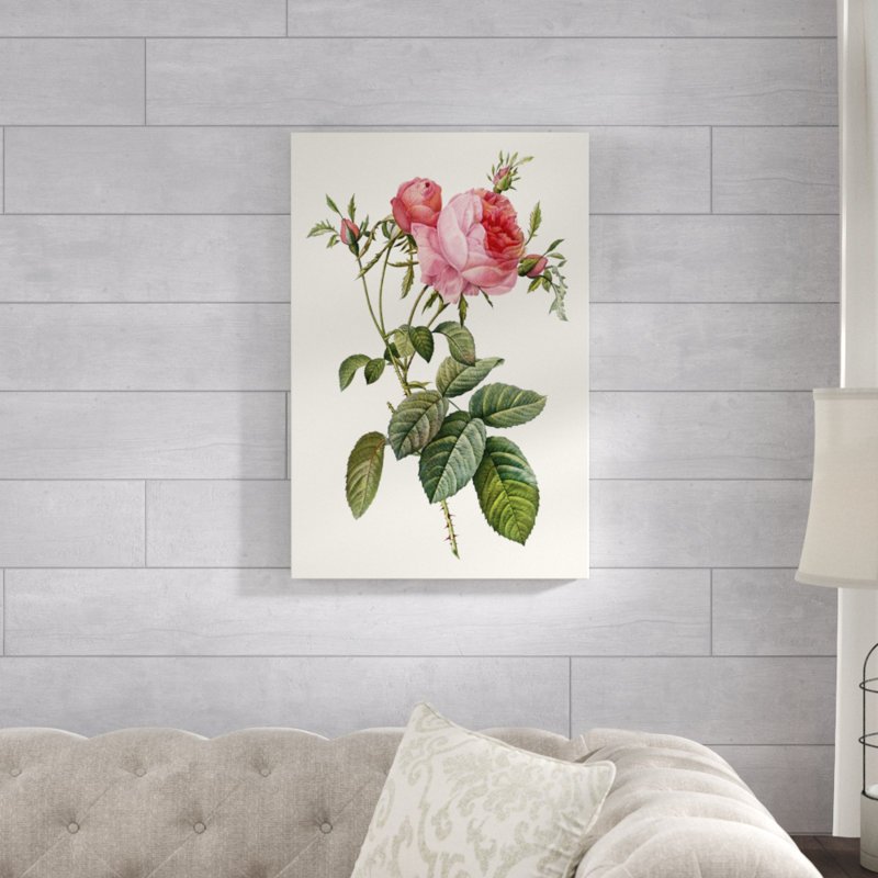 «Redoute's Rose II», peinture sur toile, H 30 po x l 20 po