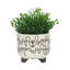 POT DE FLEURS EN CÉRAMIQUE 6/8 ", BEIGE