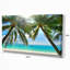Palmier suspendu sur une plage de sable blanc - reproduction de photo sur toile tendue-590073792-603073661