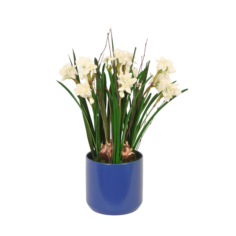 Blanc de papier avec de l'herbe dans un pot à fleurs bleu