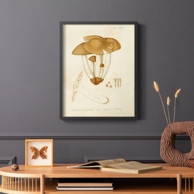 Reproduction encadrée champignon V Variétés - bois massif