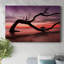 Photographie, photographie, coucher de soleil, plage, toile tendue-762273825