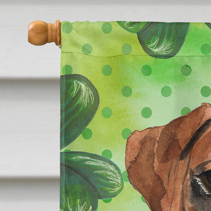 40 x 28 po en polyester à 2 côtés de la st patrick drapeau maison, Brun / blanc boxer