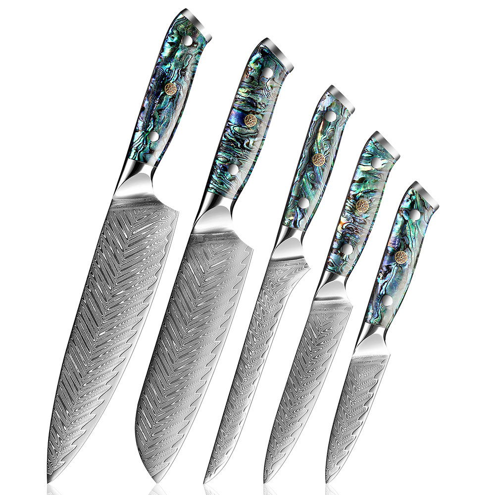 Senken Knives 5-Piece Damascus Steel Kitchen Knife Set - Umi Collection - 67-Layer Japanese VG10 Steel, Real Deep-Sea Abalone Shell Handle, Chef's Knife, Santoku, Paring, Fillet, Utility Knife, Gift Box Senken Knives