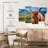Brampt Furry Highland Cow-108858553