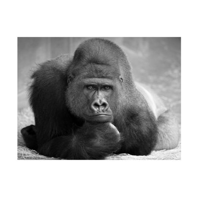 Antje Wenner-Braun The Thinker Canvas Art