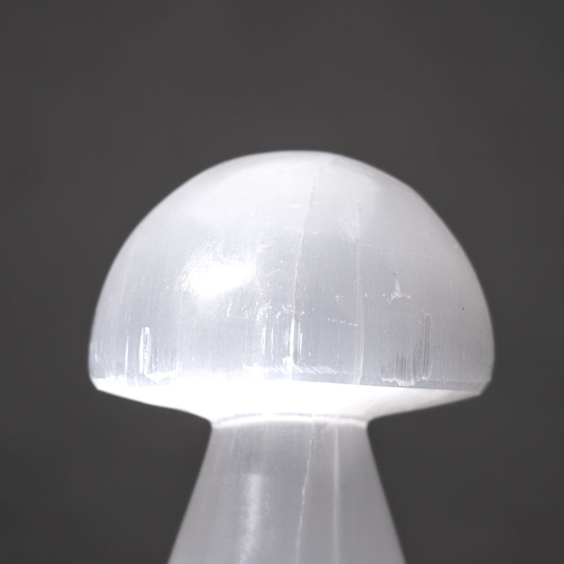 Véritable champignon Reiki en cristal de sélénite poli véritable (grand)