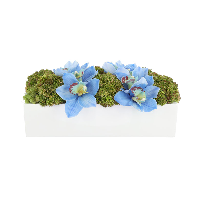 Orchid and Sedum Arranged in Fiberstone Planter, 7" H x 17" W x 10" D, Blue