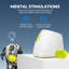 Jouet pour chien Interactives