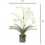 Orchid Arrangement In Glass Vase-1795696236