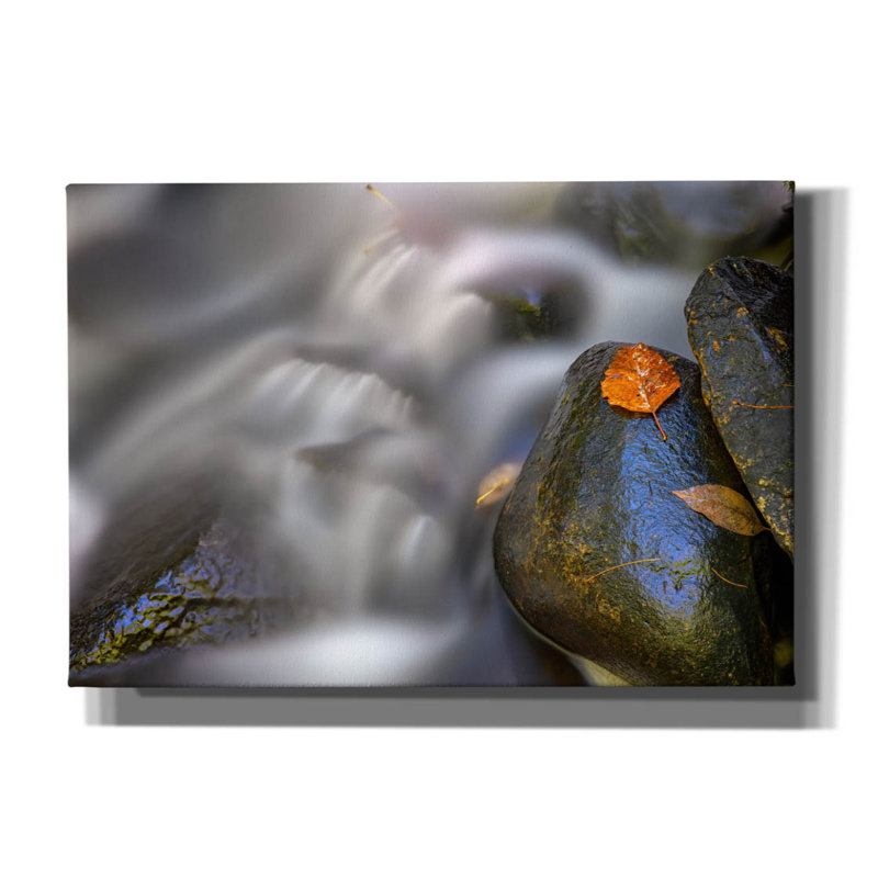 «Fallen Leaf And Mountain Stream» par Rick Berk, art mural sur toile
