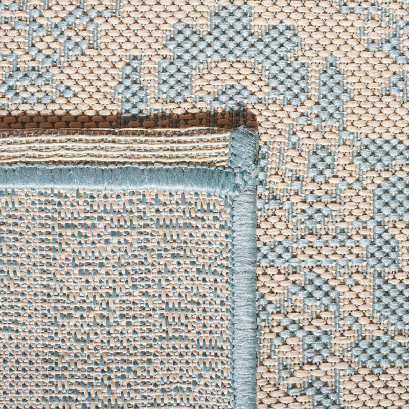 Danya Aqua/Cream Indoor/Outdoor Area Rug, Runner 2'2" x 8'