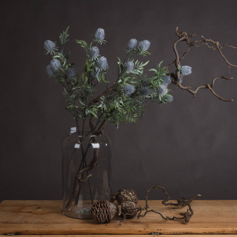Anastasija Arrangement