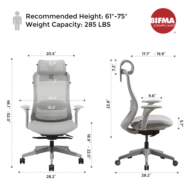 Ergonomic Mesh Task Chair, Adjustable Office Chair with 2D Headrest & 3D Armrest, Office Desk Chair with Lumbar Support, Recline Function,Gray