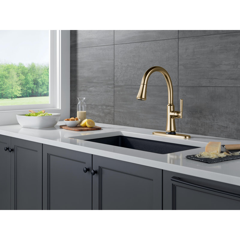 Touch2O Kitchen Faucet with Touchless Technology, Gold