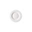 Porcelain Salad/Dessert Plate