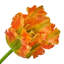 Perroquet doux au toucher 28 po -1420486990