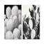Ensemble de 2 décorations murales noir et blanc Cactus-224329179-224329176