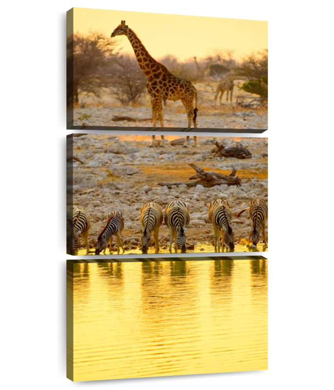 Animaux Etosha Park Safari, H 62 po x l 30 po