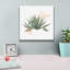 «Desert Color Succulent 1» par Sue Schlabach, art mural sur toile, 26 po x 26 po-2098449