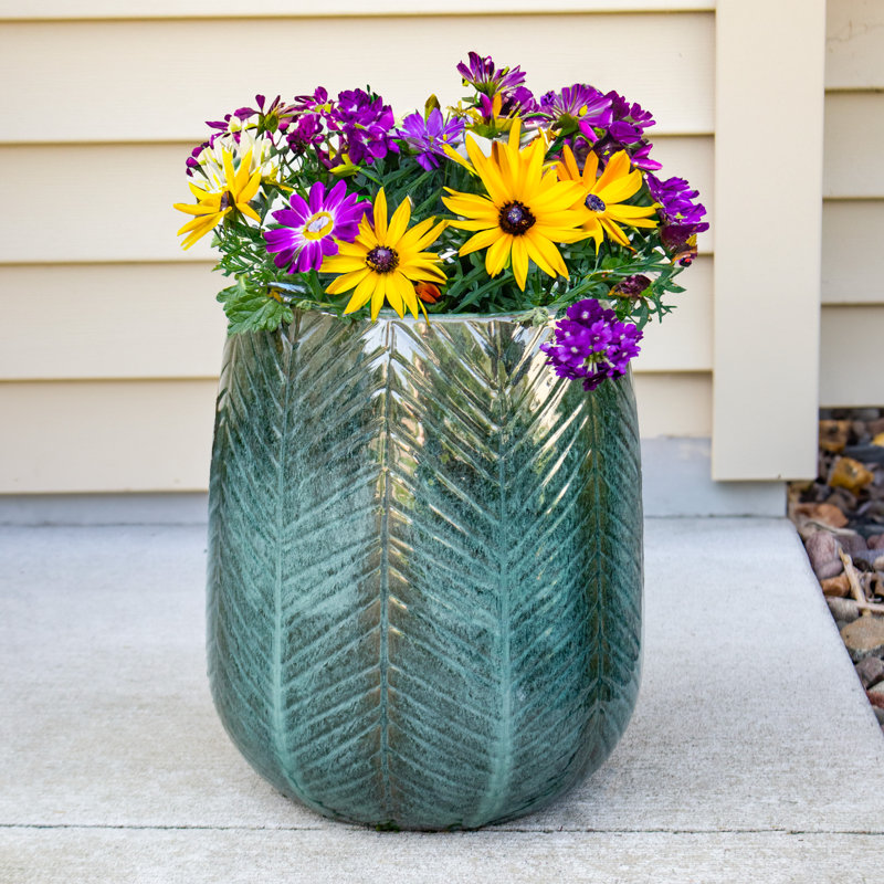 Shavae Ceramic Pot Planter