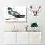 Pigeon by Johan Teyler - Wrapped Canvas-55339446