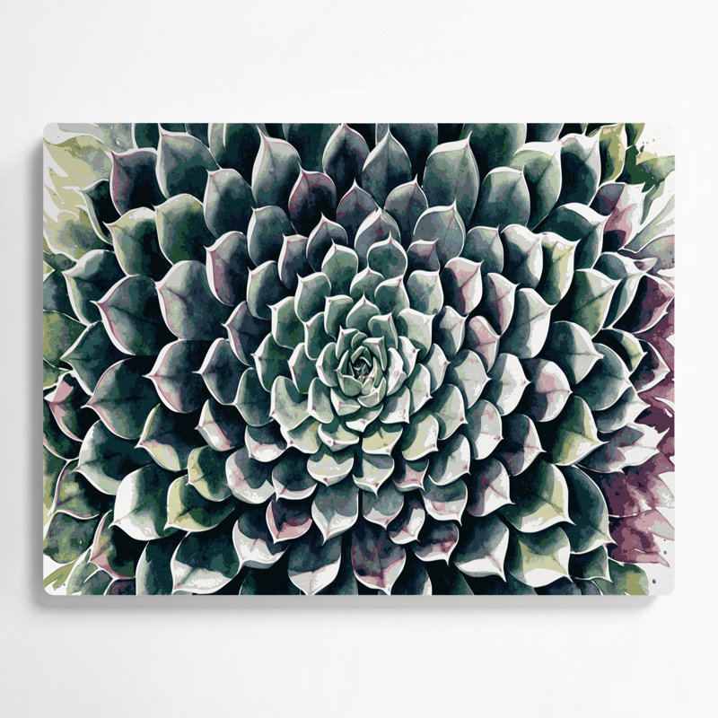 Art mural botanique gris Echeveria, H 12 po x l 18 po