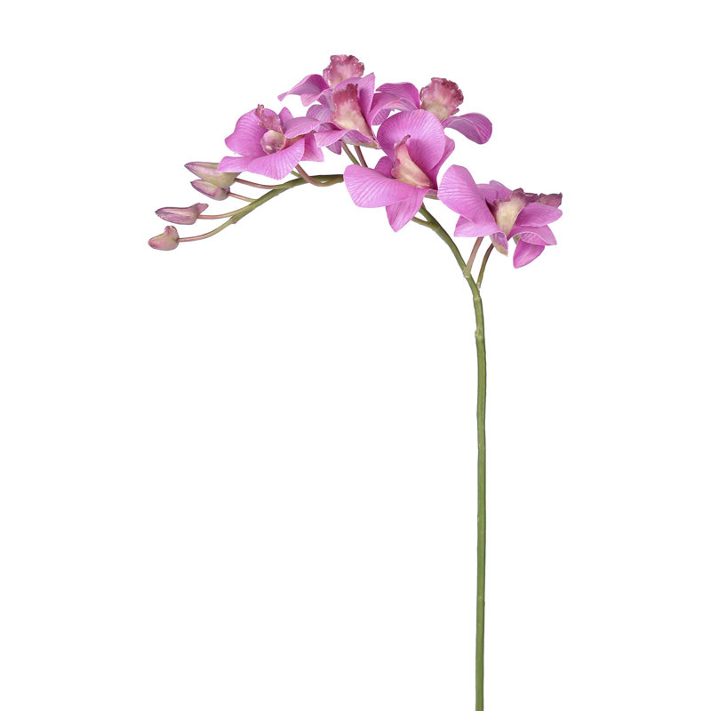 ORCHIDÉE DENDROBIE
